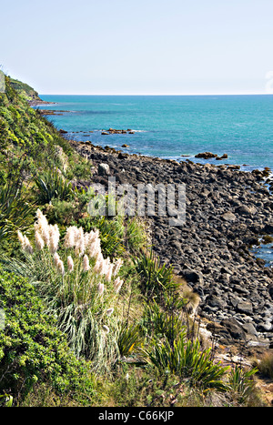 La magnifique mer de Tasman Turquoise à Manu Bay près de Raglan, île du Nord Nouvelle-zélande Waikato Banque D'Images