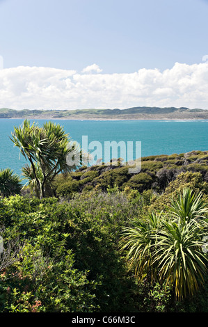 La magnifique mer de Tasman Turquoise à Manu Bay près de Raglan, île du Nord Nouvelle-zélande Waikato Banque D'Images