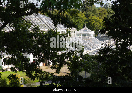 Les jardins de Kew House tempérées, le plus grand bâtiment en verre et en fonte du xixe siècle survivant Banque D'Images