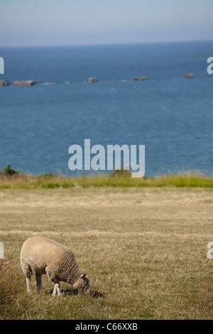 Vue sur Arromanches, Normandie Banque D'Images