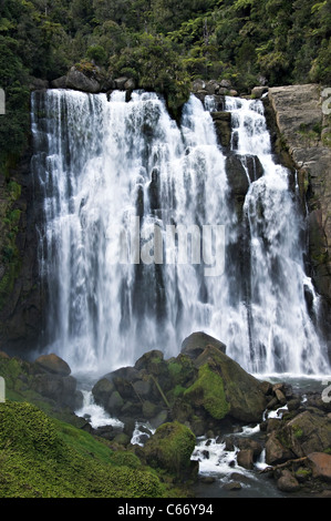 La belle Marokopa Tawarau tombe dans la forêt près de Te Anga Waikato Waitomo Île du Nord Nouvelle-Zélande NZ Banque D'Images