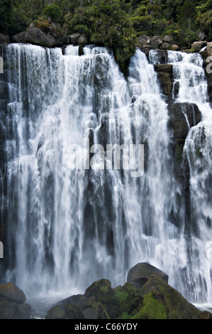 La belle Marokopa Tawarau tombe dans la forêt près de Te Anga Waikato Waitomo Île du Nord Nouvelle-Zélande NZ Banque D'Images