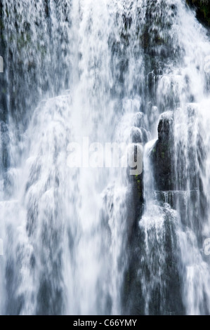 La belle Marokopa Tawarau tombe dans la forêt près de Te Anga Waikato Waitomo Île du Nord Nouvelle-Zélande NZ Banque D'Images