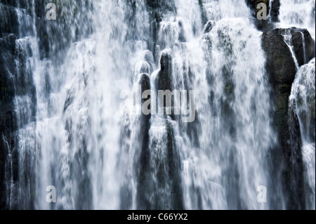 La belle Marokopa Tawarau tombe dans la forêt près de Te Anga Waikato Waitomo Île du Nord Nouvelle-Zélande NZ Banque D'Images