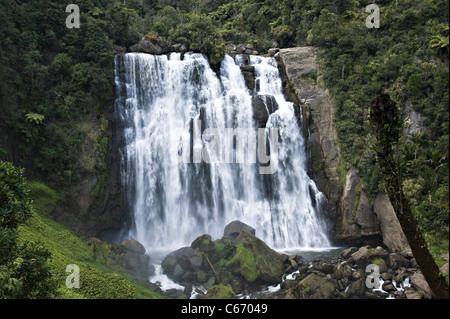 La belle Marokopa Tawarau tombe dans la forêt près de Te Anga Waikato Waitomo Île du Nord Nouvelle-Zélande NZ Banque D'Images