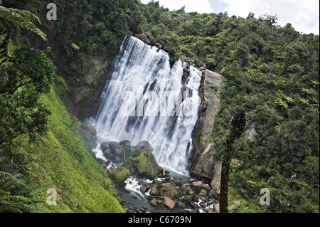 La belle Marokopa Tawarau tombe dans la forêt près de Te Anga Waikato Waitomo Île du Nord Nouvelle-Zélande NZ Banque D'Images