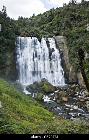 La belle Marokopa Tawarau tombe dans la forêt près de Te Anga Waikato Waitomo Île du Nord Nouvelle-Zélande NZ Banque D'Images