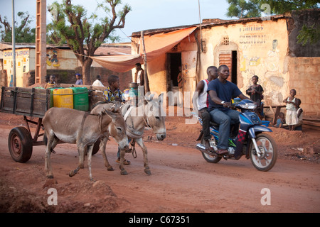L'eau tirée d'un âne panier se déplace vers le bas la rue à Banconi, une section de la ville, capitale du Mali, Bamako. Banque D'Images