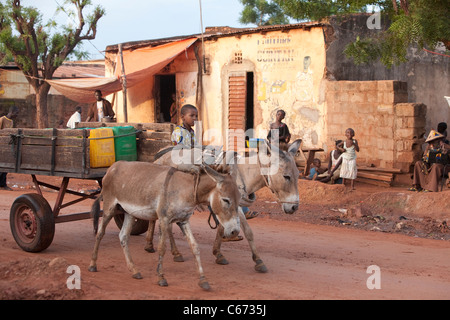L'eau tirée d'un âne panier se déplace vers le bas la rue à Banconi, une section de la ville, capitale du Mali, Bamako. Banque D'Images