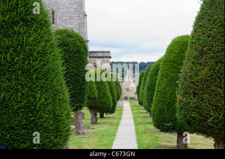 Belle forme if border les sentiers dans le parc de St Mary's Parish Church en Painswick, Gloucestershire Banque D'Images