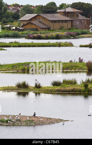 London Wetland Centre, Barnes - WWT site. Une vue sur les lagons aux bâtiments principaux de la Peacock Tower. Banque D'Images
