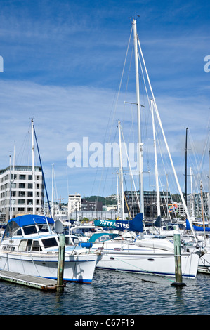 Bateaux à moteur Yachts de haute mer et Crusiers amarré à Chaffers Marina Bay Wellington oriental par l'Île du Nord Nouvelle-Zélande NZ Banque D'Images