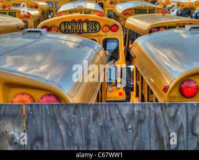 Plusieurs autobus scolaires dans un parking. Banque D'Images