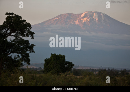 Mt. Le Kilimanjaro au coucher du soleil - Boma Ng'ombe, région de Kilimandjaro, Tanzanie Banque D'Images