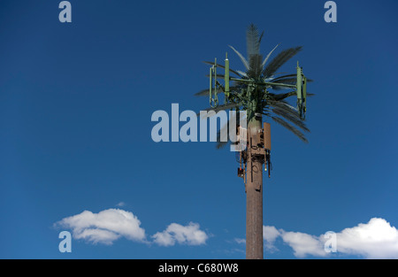 Las Vegas, Nevada - une tour de téléphonie cellulaire sous la forme d'un palmier. Banque D'Images