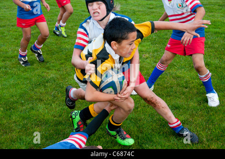 Les joueurs de rugby junior aller pour lui Banque D'Images