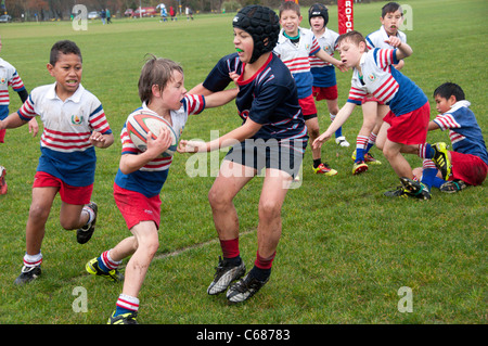 Les joueurs de rugby junior aller pour lui Banque D'Images