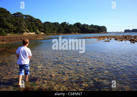 Boy paddling sur causeway à Ile de Berder, Larmor-Baden, Morbihan, Bretagne, France Banque D'Images