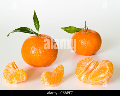 Zwei Clementinen, dabei liegen Fruchtstückchen | deux clémentines, à côté sont des morceaux de fruits Banque D'Images
