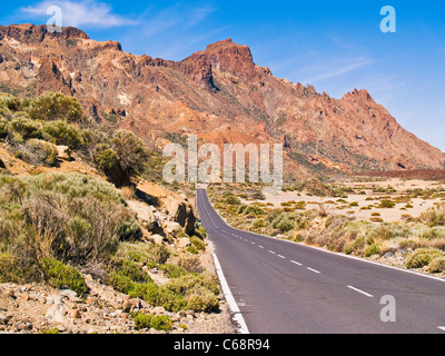 Les roches et une rue dans le parc national de Teide Tenerife, Canaries Espagne Europe Banque D'Images