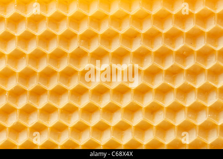Miel frais en comb Banque D'Images