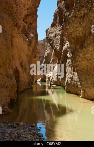 Canyon de Sesriem avec la rivière Tsauchab, désert du Namib, Namibie, Afrique Banque D'Images