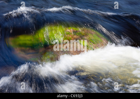 Roche sous-marine couverte de végétation verte à la rivière , Finlande Banque D'Images