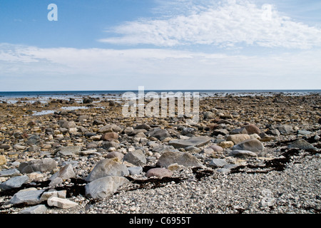 Les rives exposées de la côte ouest de la baie d'Hudson à marée basse, dans l'océan Arctique, près de la ville de Churchill, au Manitoba, au Canada. Banque D'Images