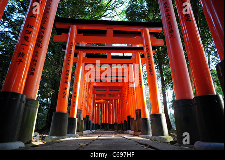 Torii, ou portes rouge, un chemin de ligne au Sanctuaire Fushimi Inari près de l'ancienne ville japonaise de Kyoto pendant le coucher du soleil en mars 2009. Banque D'Images