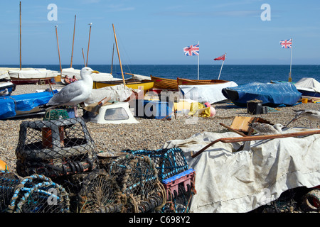 La plage à Beer, Devon, Angleterre avec des bateaux de pêche, des casiers à crabe et d'autres équipements. Certains bateaux offrent des excursions de pêche du maquereau. Banque D'Images