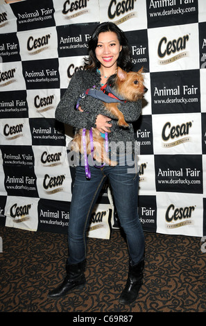 Li Jing, Multi-Media Journailist participants de Puppy Love at Yappy Hour Humane Society de New York, le Carlton Hotel, New York, NY Le 11 février 2011. Photo par : Desiree Navarro/Everett Collection Banque D'Images