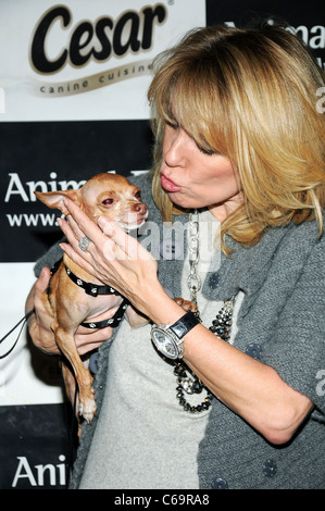 Ramona Singer, Real Housewives of New York City présents pour l'amour de chiot à Yappy Hour Humane Society de New York, le Carlton Hotel, New York, NY Le 11 février 2011. Photo par : Desiree Navarro/Everett Collection Banque D'Images