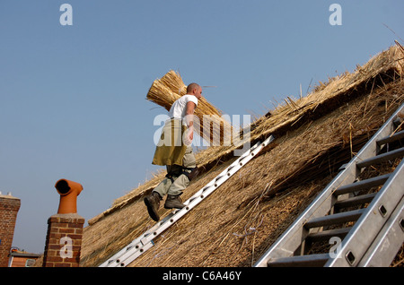 Greg Thatchers Shoesmith et John Hall travaillant sur le toit de l'hôtel Tudor Fermer pub à Ferring près de Worthing UK Banque D'Images