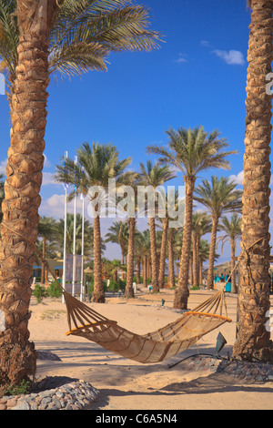 Un hamac entre deux palmiers sur une plage égyptienne Banque D'Images