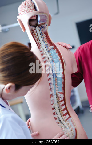 Blanc femelle étudiantes infirmières et l'enseignant en interaction avec l'anatomie humaine modèle anatomique Banque D'Images