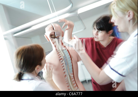 Blanc femelle étudiantes infirmières et l'enseignant en interaction avec l'anatomie humaine modèle anatomique Banque D'Images