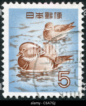 Japon - 1955 : timbre imprimé au Japon, illustre Canard mandarin (Aix galericulata) Banque D'Images