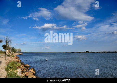 Èbre à sa base, près de la côte. Delta de l'Ebre. Province de Tarragone. Espagne Banque D'Images