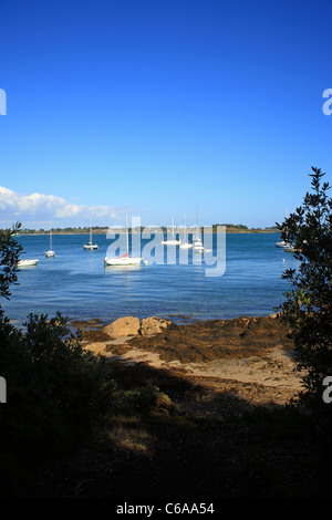 Vue sur le Golfe du Morbihan et Ile aux moines de l'Ile de Berder, Larmor-Baden, Morbihan, Bretagne, France Banque D'Images