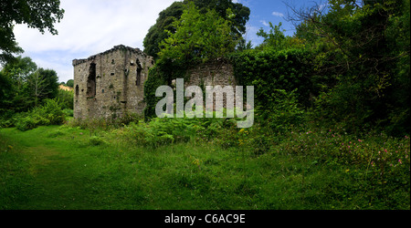 Une image panoramique des vestiges ruines de château dans Candlestone Merthyr Mawr au Pays de Galles Banque D'Images