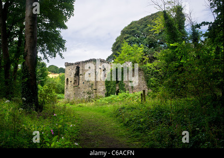 Les vestiges du château de Candleston à Merthyr Mawr, au pays de Galles Banque D'Images