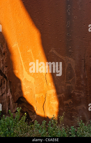 L'art rupestre San à Twyfelfontein, Namibie Banque D'Images