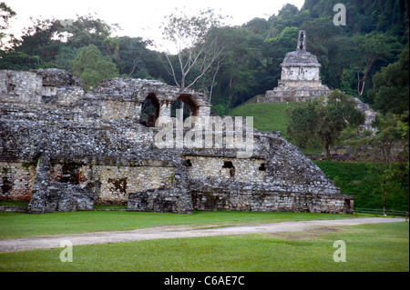 Les ruines mayas de Palenque, Mexique Banque D'Images