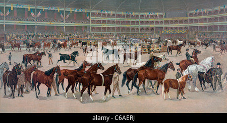 National Horse Show, défilé des lauréats, 1896 Banque D'Images