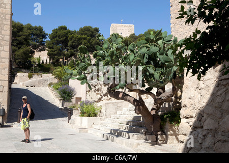 Château Santa Barbara à Alicante. Banque D'Images