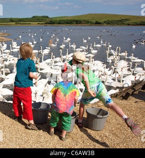 Les enfants aident au moment de l'alimentation à l'Swannery, une attraction touristique très populaire du sud près du village d'Abbotsbury Dorset Banque D'Images