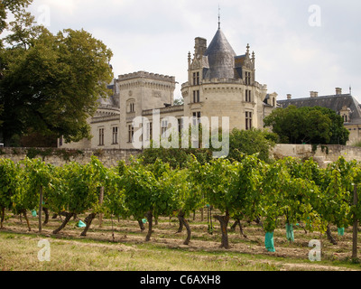 Château de Brézé avec ses vignes, produisant des vins de qualité, depuis le 16ème siècle. Vallée de la Loire, France Banque D'Images