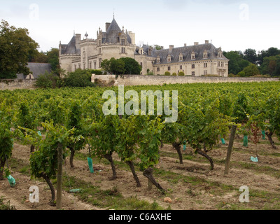 Château de Brézé avec ses vignes, produisant des vins de qualité, depuis le 16ème siècle. Vallée de la Loire, France Banque D'Images