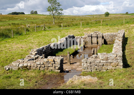 Temple de Mithra, Carrawburgh, Hardian's Wall Banque D'Images