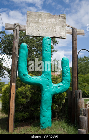 New Jersey Americana cactus route Banque D'Images